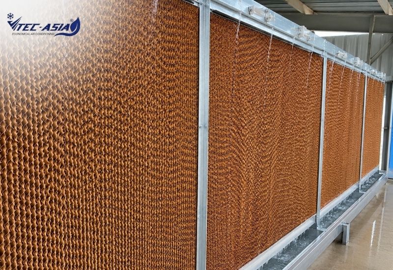 hệ thống làm mát nhà xưởng bằng tấm cooling pad