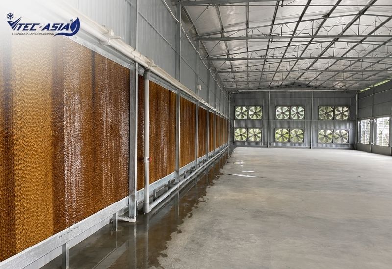 hệ thống làm mát nhà xưởng bằng tấm cooling pad